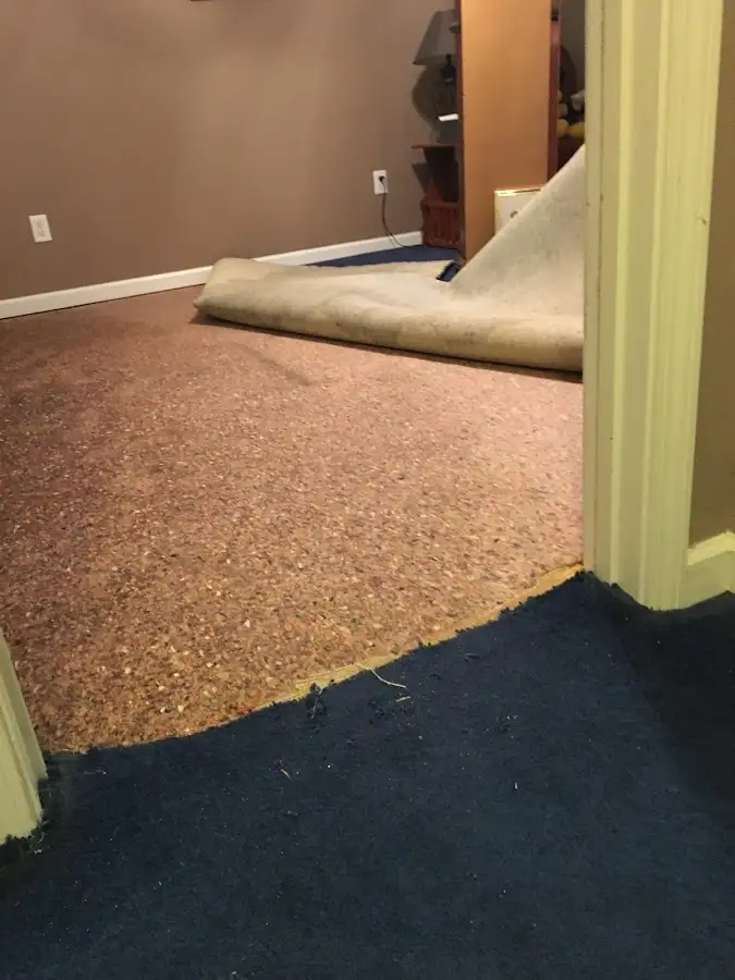 Carpet pad removal revealing water damage during Drying & Dehumidification in Christiansburg