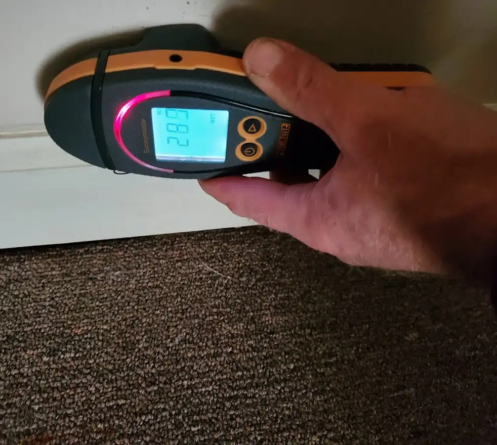 Moisture detection at baseboard during Sewage Cleanup & Sanitation in Christiansburg